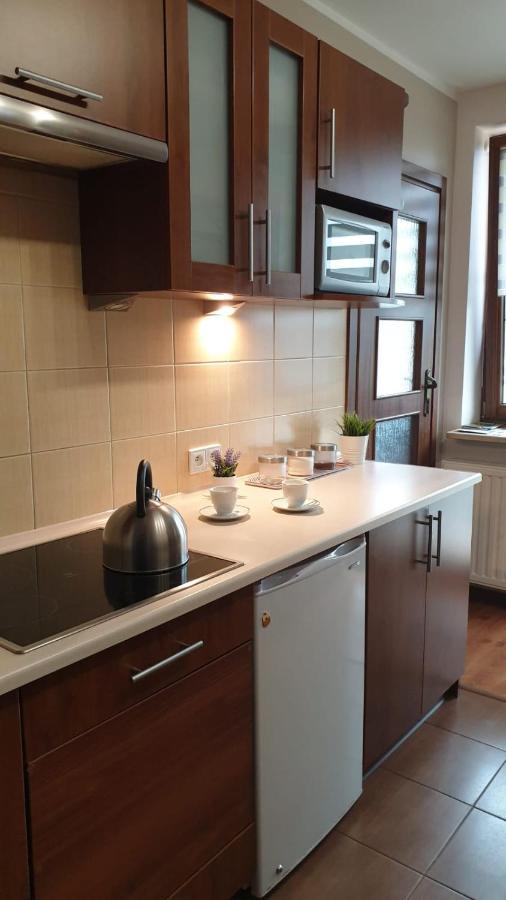 Kaizen Apartament Krynica Zdroj Exterior foto